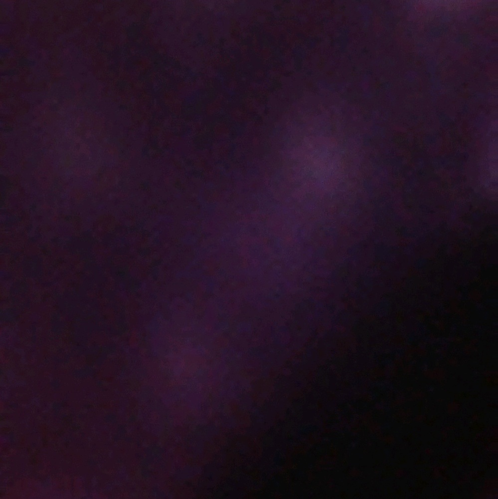 Meet your Posher, Peyton